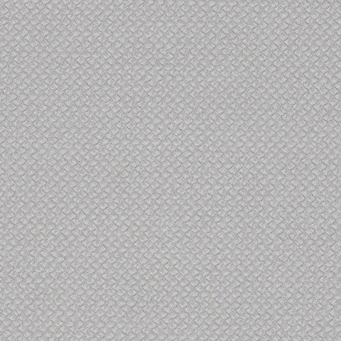 APEX-2551 Steel Silver