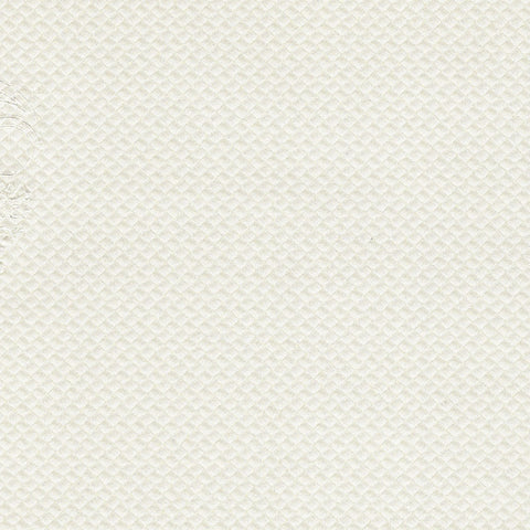 APEX-2554 Brilliant White