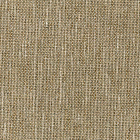 Shenandoah Ivory