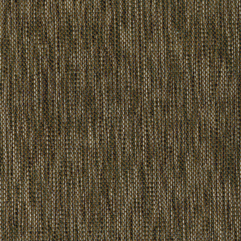 Shenandoah Mocha
