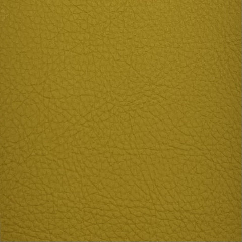 Classic Daffodil SCL-209