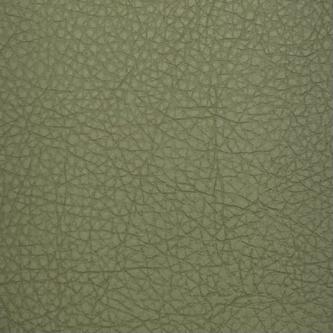 Classic Sage SCL-036