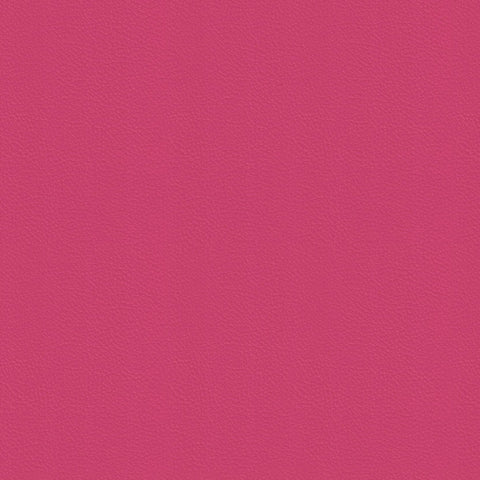 Dynamic Fuchsia