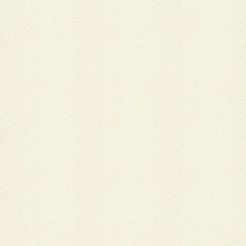 Dynamic Ivory