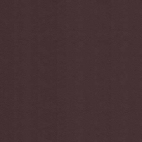 Dynamic Mocha