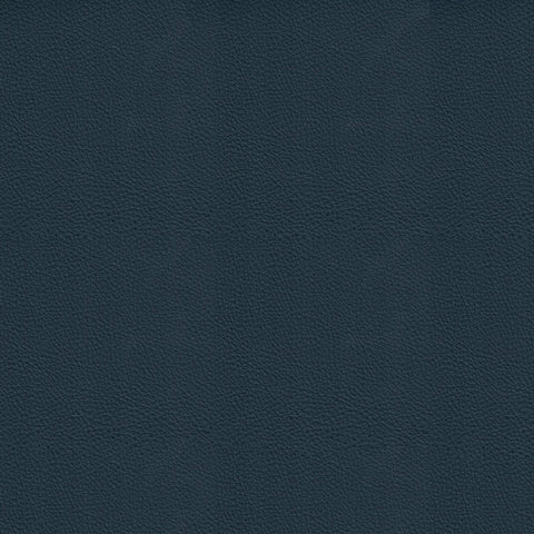 Dynamic Navy