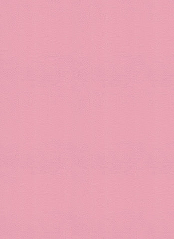 Dynamic Pink