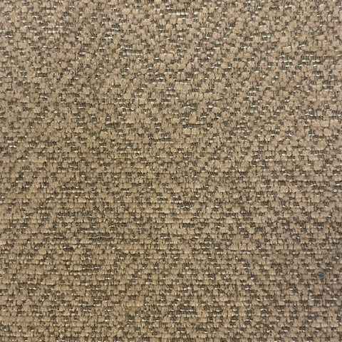 P1070 Maize