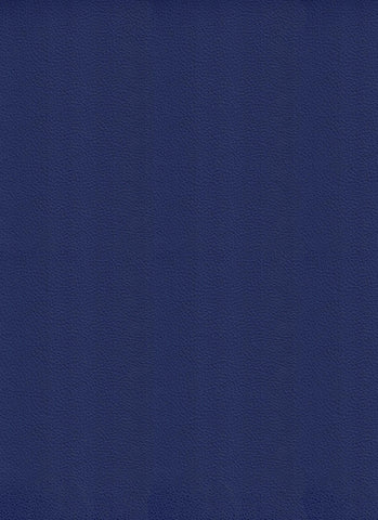 Dynamic Royal Blue