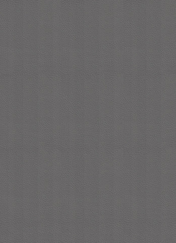 Dynamic Silver