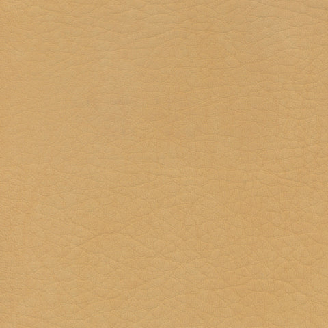 Whisper-2118 Camel