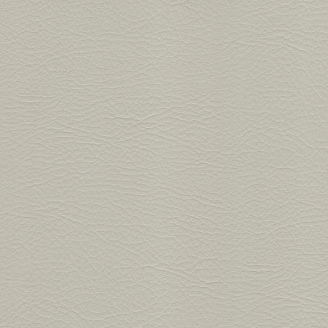 Whisper-2156 Putty