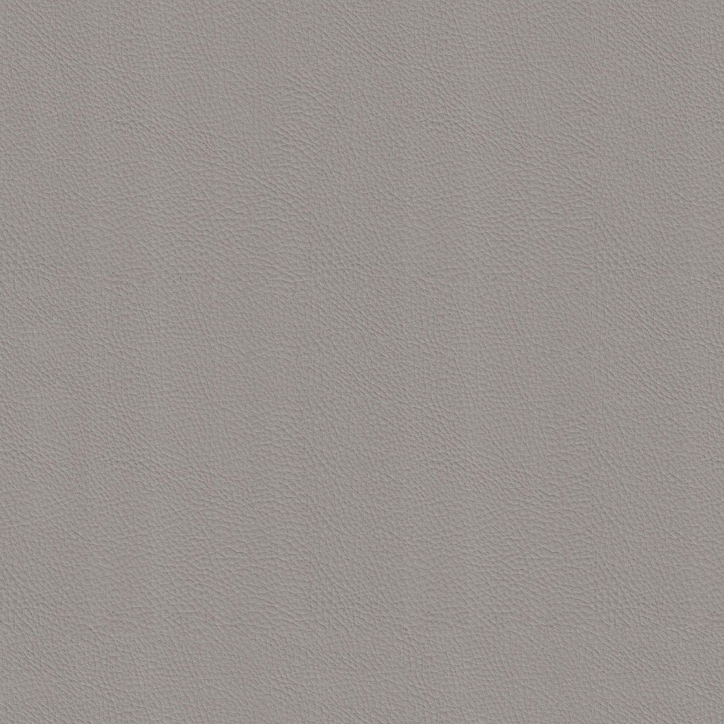 Dynamic Grey Color Dynamic Grey – Nationwide Fabric