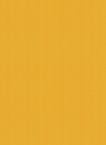 Dynamic Yellow